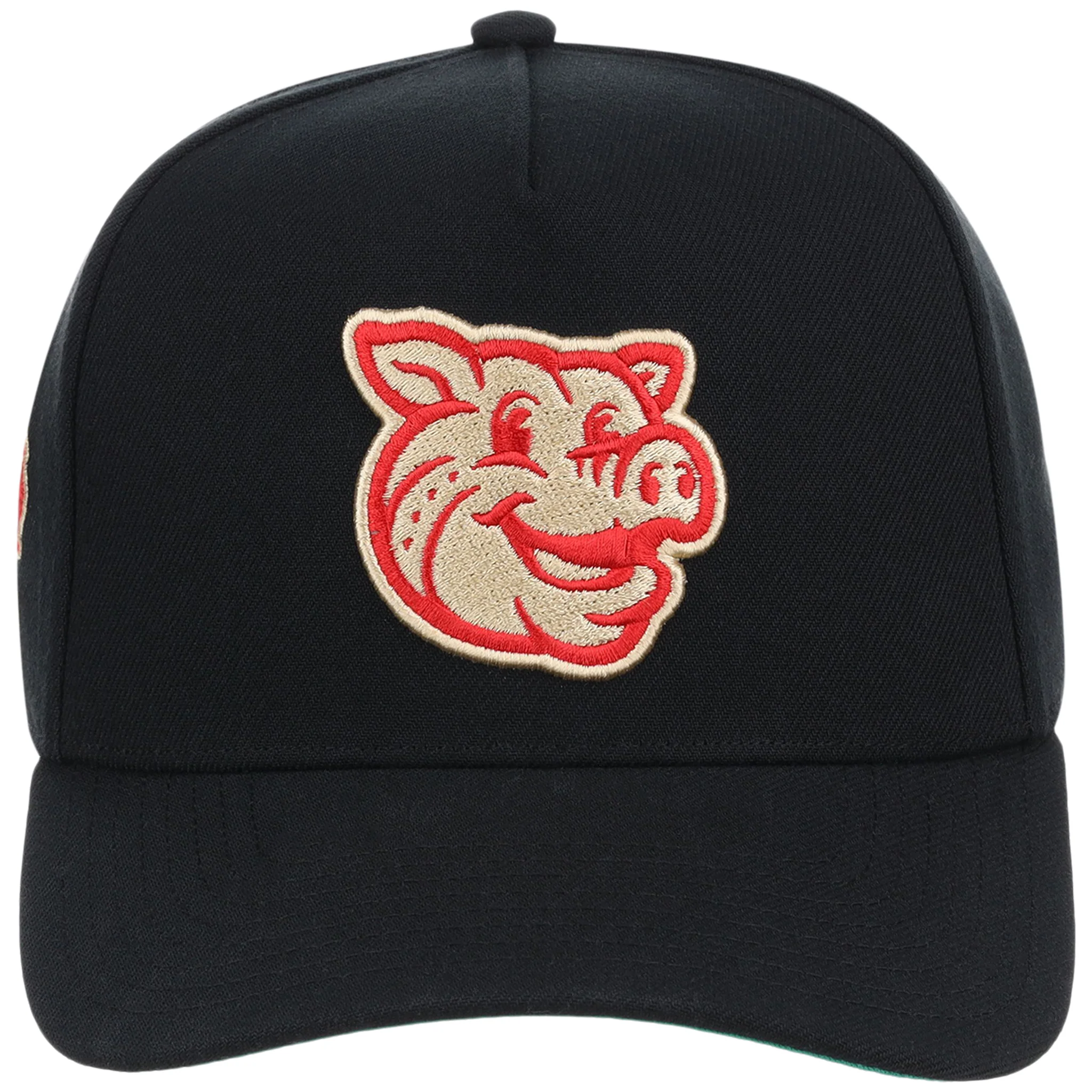 Lehigh Valley Ironpigs Field Club Minor League Monday Black OTC A-Frame - Image 5