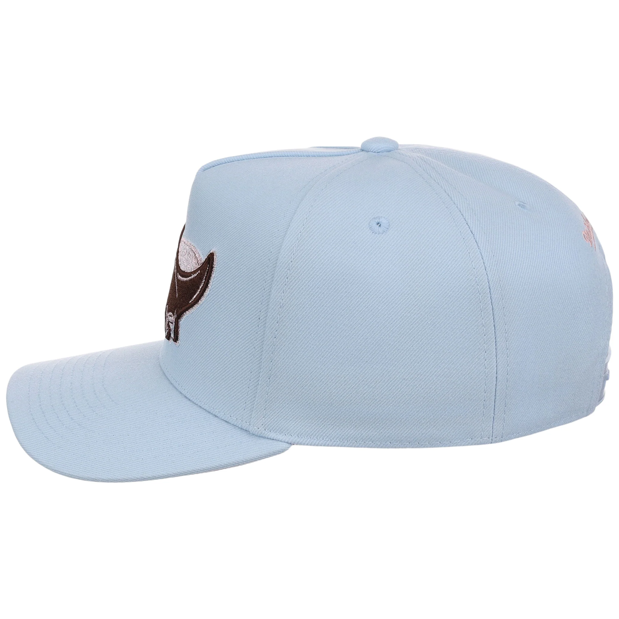 Tampa Bay Rays MLB Mitchell & Ness Cherry Blossom Pro Pinch - Image 6