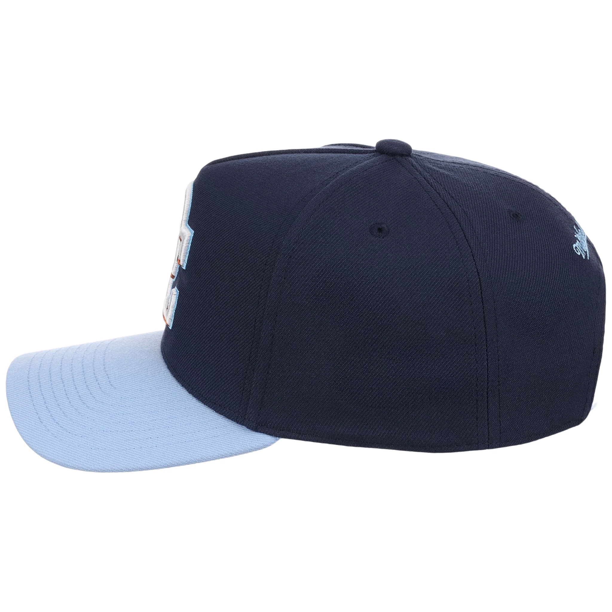 Washington Nationals MLB Ocean Sky Mitchell & Ness Pro Pinch - Image 6